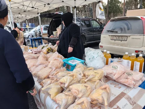 Изображение WhatsApp 2025-12-31 в 12.18.26_8ec5c8ed.jpg