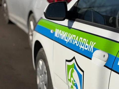 Изображение WhatsApp 2025-12-05 в 15.16.55_892d75fb.jpg