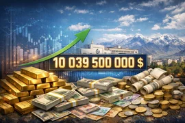 Изображение WhatsApp 2026-01-30 в 15.41.36_225ac1dd.jpg