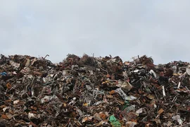 Musor-poligon.jpg