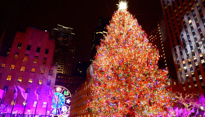 Rockefeller-Center-Christmas-Tree-Lighting-Ceremony-Rockefeller-Tree.jpg