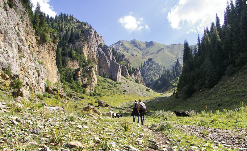 Снимок экрана (11)