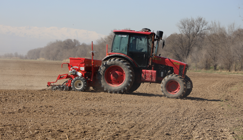 Snimok_ekrana_2026-04-24_174136.width-800