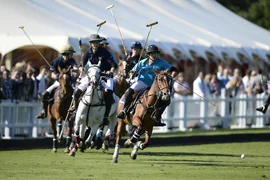 Varsity_Polo_2013.jpg