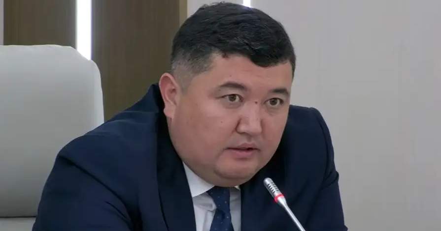 Около 11 тыс. иностранных мигрантов добровольно выехали из Кыргызстана с начала года