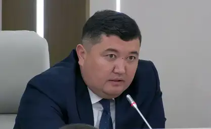 Около 11 тыс. иностранных мигрантов добровольно выехали из Кыргызстана с начала года