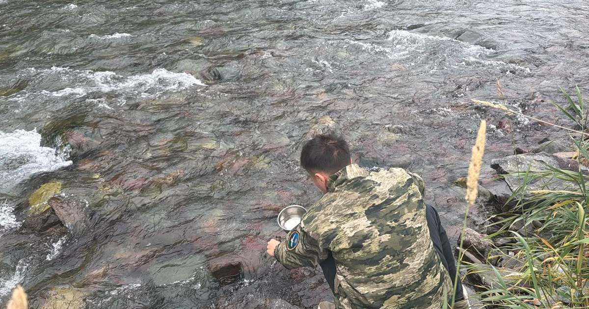 Дизельное топливо попало в реку Кара-Балта после ДТП с бензовозом