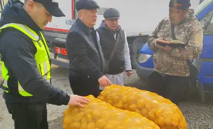 Фактов продажи китайского картофеля под видом местного не выявлено - Минсельхоз