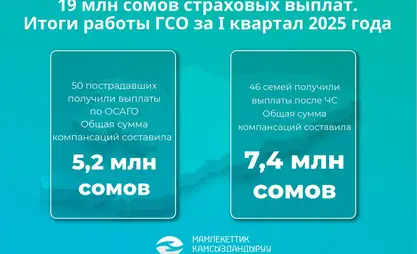 19 миллионов сомов помощи: страхование, которое работает на деле