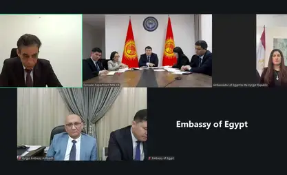 Кыргызстан и Египет обсудили развитие консульского сотрудничества