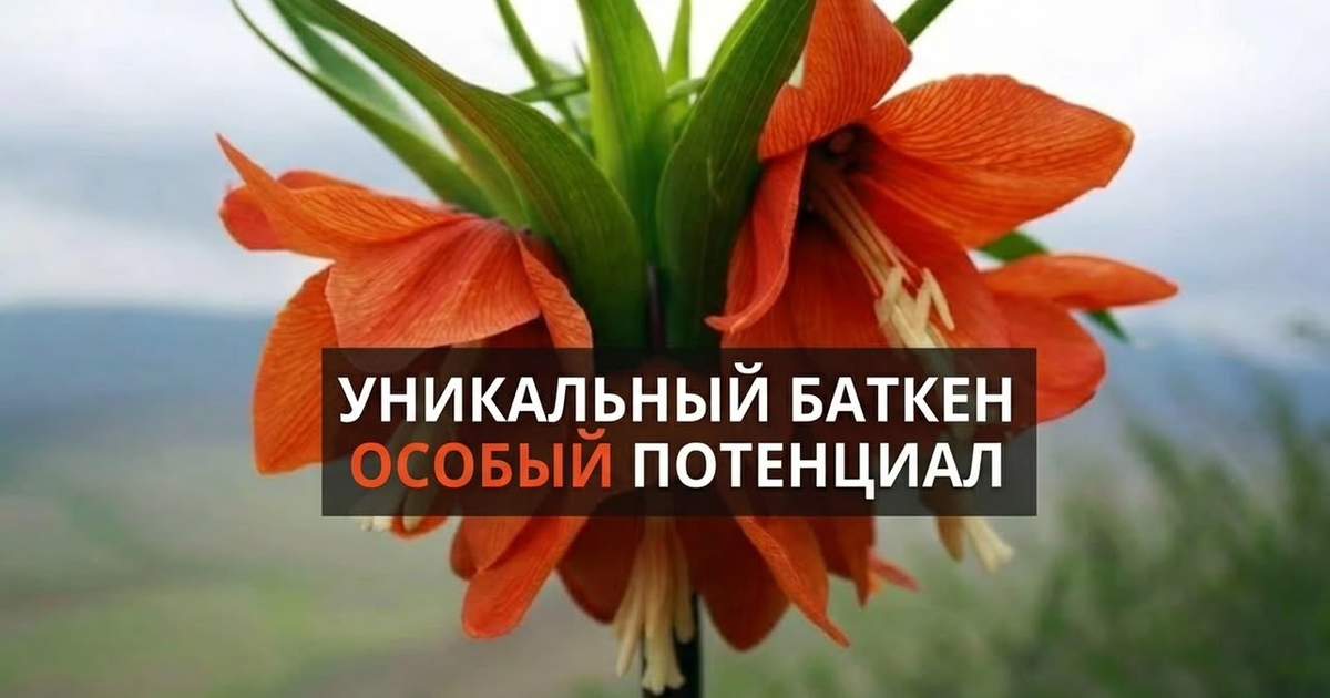 Новый Баткен: мирный регион с большим экономическим потенциалом