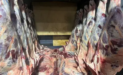 Оптовую мясную торговлю на Ошском рынке перенесли в павильон «Чуйгун»