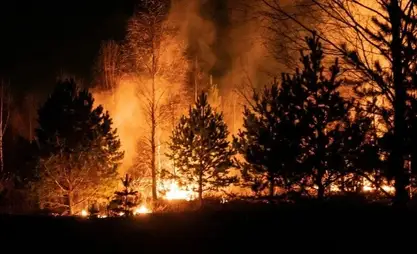 Лесной пожар в Испании охватил около 330 гектаров