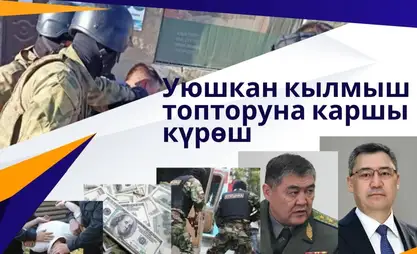 Трансформация системы правопорядка: от организованной преступности к верховенству закона