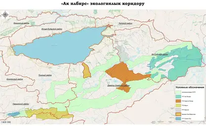 В Иссык-Кульской области создан экологический коридор «Ак илбирс»