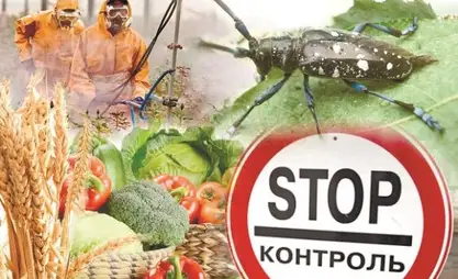 В ЕАЭС усовершенствован карантинный фитосанитарный контроль