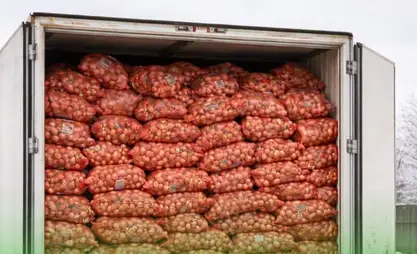 В Кыргызстан не допустили 56 тонн лука из Казахстана