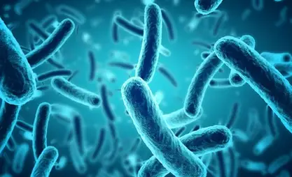 Специалисты напомнили о мерах профилактики острых кишечных инфекций