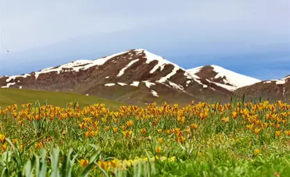 Доходы Кыргызстана от экспорта туруслуг в 2025 году превысили $1 млрд