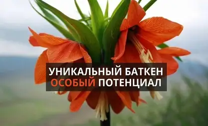 Новый Баткен: мирный регион с большим экономическим потенциалом