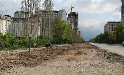 Кыргызстан получил на озеленение Бишкека $50 млн