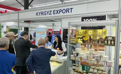 Экспорт Кыргызстана: предприниматели осваивают международные рынки