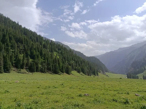 WhatsApp Image 2025-05-22 at 17.03.39 (4).jpeg