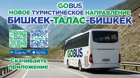 WhatsApp Image 2025-06-17 at 13.37.48.jpeg