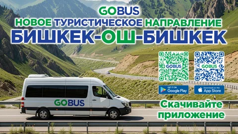 WhatsApp Image 2025-06-17 at 13.37.47.jpeg