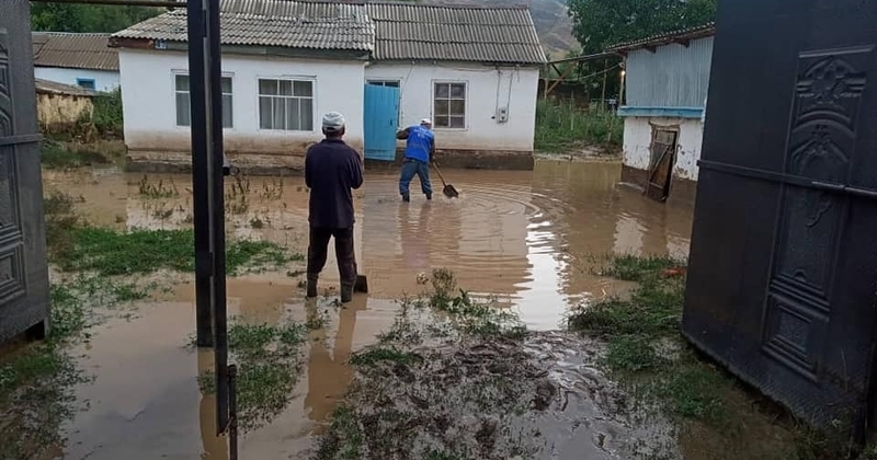 WhatsApp_Image_2025-07-09_at_17.2.2e16d0ba.fill-1200x630