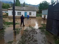 WhatsApp_Image_2025-07-09_at_17.27.28_1.width-800.jpg