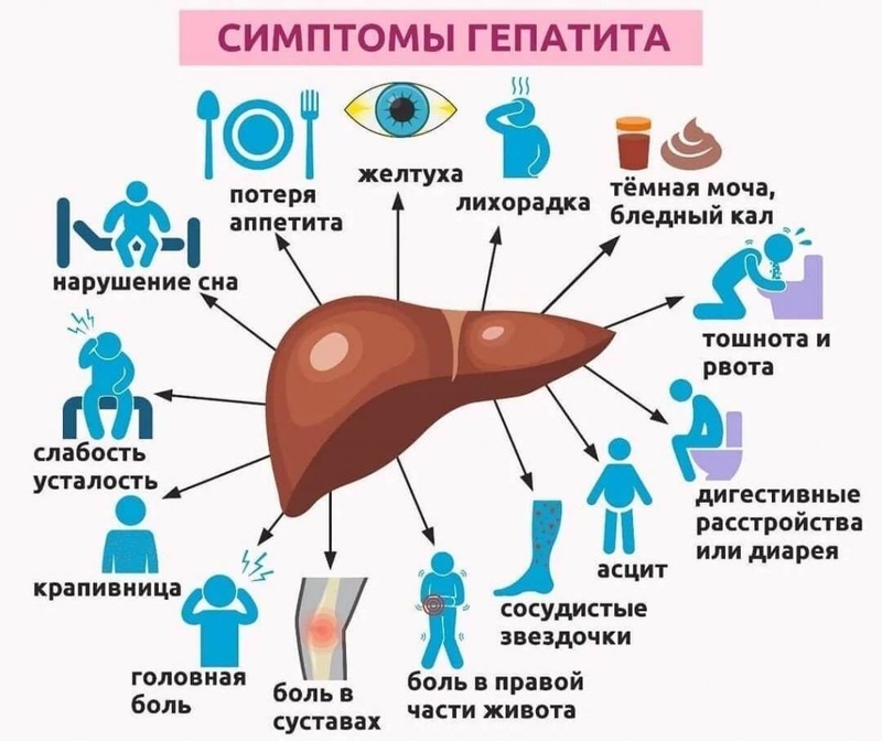 WhatsApp Image 2025-07-29 at 15.44.11 (2).jpeg