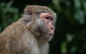 WhatsApp Image 2025-10-28 at 18.27.21.jpeg