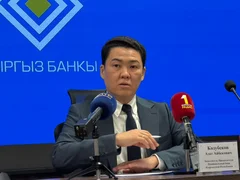 WhatsApp Image 2025-10-29 at 11.47.27.jpeg