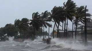 WhatsApp Image 2025-10-29 at 16.46.26.jpeg