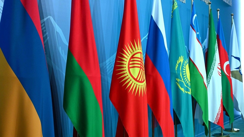 WhatsApp Image 2025-10-30 at 17.24.57 (1).jpeg