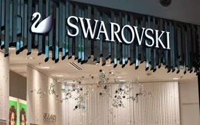 WhatsApp Image 2025-11-03 at 19.44.06.jpeg