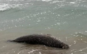 WhatsApp Image 2025-11-03 at 19.08.05.jpeg