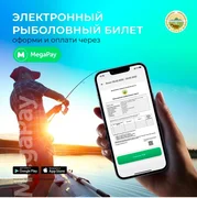 WhatsApp Image 2025-11-04 at 10.55.36.jpeg