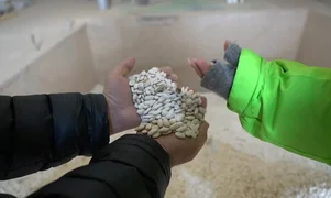 WhatsApp Image 2025-11-04 at 14.14.13.jpeg