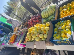 WhatsApp Image 2025-11-08 at 15.26.18.jpeg