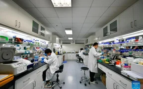 WhatsApp Image 2025-11-09 at 21.54.29.jpeg