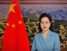 WhatsApp Image 2025-11-10 at 14.17.54.jpeg