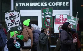 WhatsApp Image 2025-11-13 at 16.24.32.jpeg