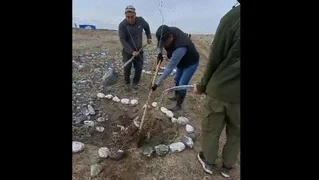 WhatsApp Image 2025-11-17 at 16.38.41.jpeg