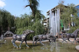 WhatsApp Image 2025-11-19 at 23.20.45.jpeg