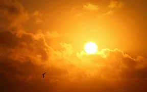 WhatsApp Image 2025-12-03 at 15.48.49.jpeg