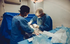 WhatsApp Image 2025-12-04 at 23.51.41.jpeg