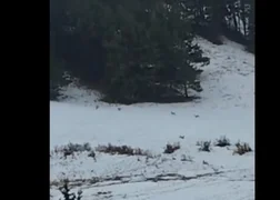 WhatsApp Image 2025-12-07 at 17.03.37.jpeg