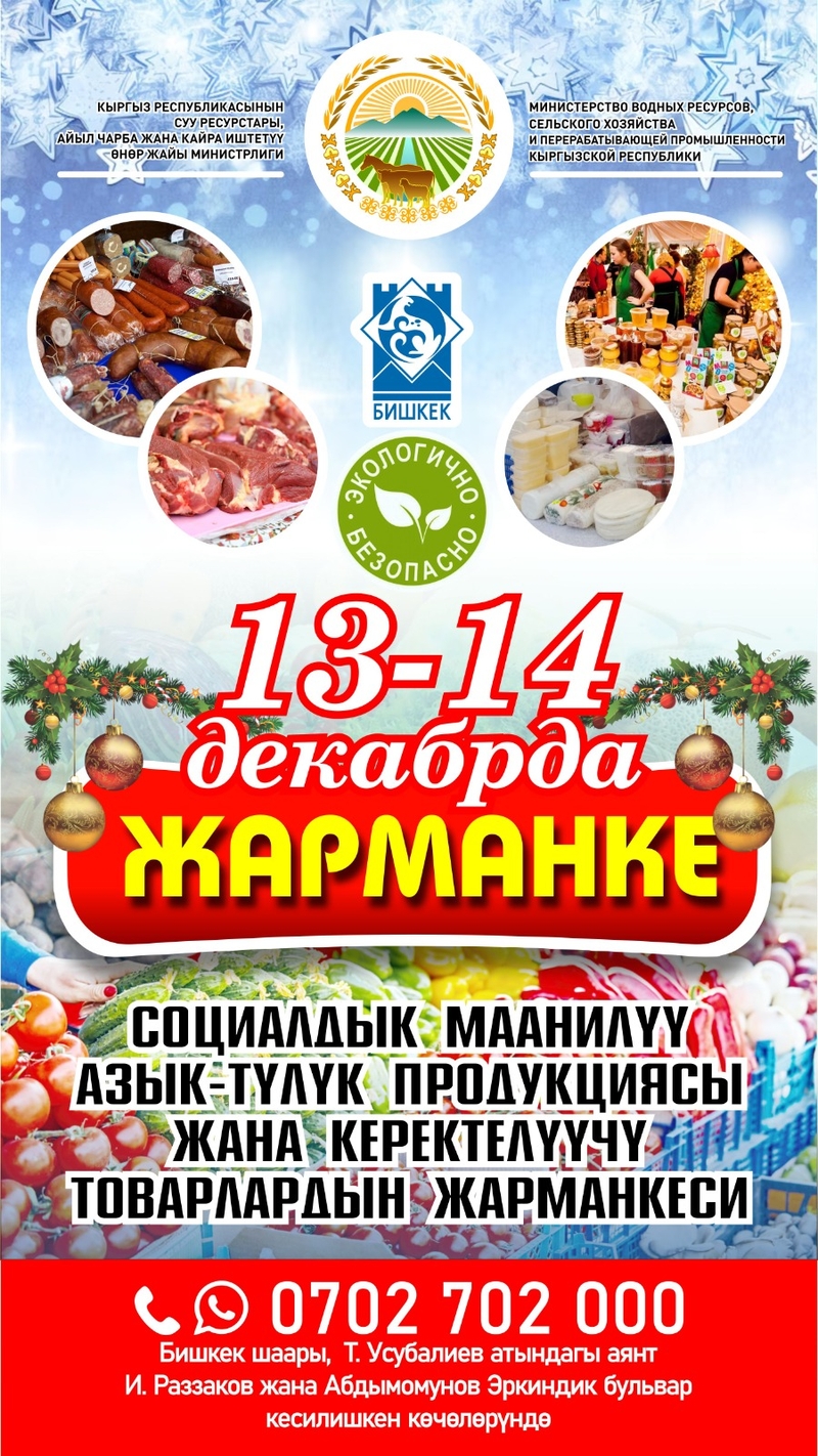 WhatsApp Image 2025-12-10 at 12.17.38 (1)